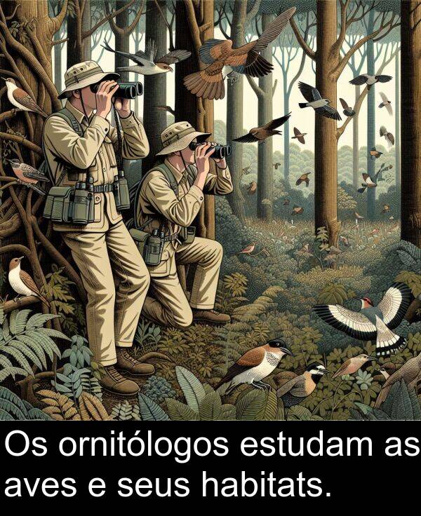 seus: Os ornitólogos estudam as aves e seus habitats.