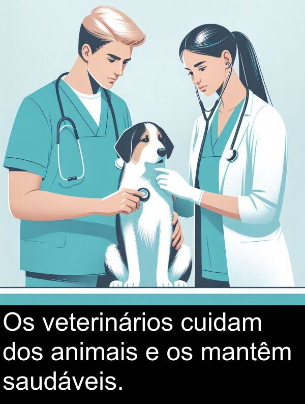 mantêm: Os veterinários cuidam dos animais e os mantêm saudáveis.