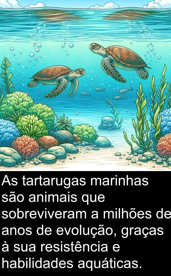 animais: As tartarugas marinhas são animais que sobreviveram a milhões de anos de evolução, graças à sua resistência e habilidades aquáticas.