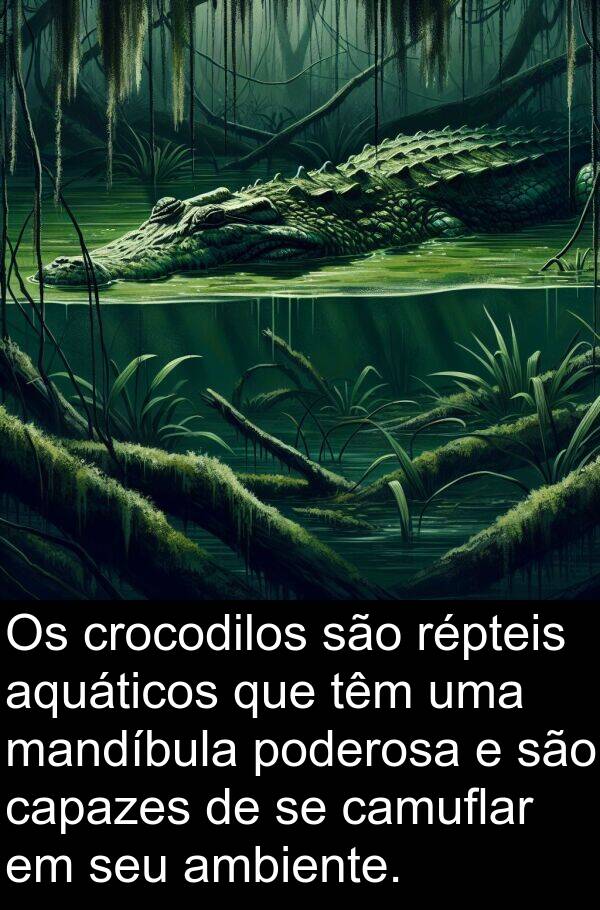 crocodilos: Os crocodilos são répteis aquáticos que têm uma mandíbula poderosa e são capazes de se camuflar em seu ambiente.