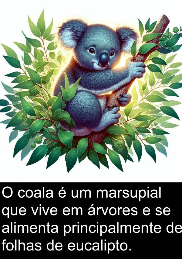 árvores: O coala é um marsupial que vive em árvores e se alimenta principalmente de folhas de eucalipto.