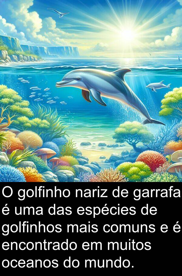 nariz: O golfinho nariz de garrafa é uma das espécies de golfinhos mais comuns e é encontrado em muitos oceanos do mundo.