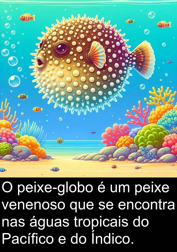 venenoso: O peixe-globo é um peixe venenoso que se encontra nas águas tropicais do Pacífico e do Índico.