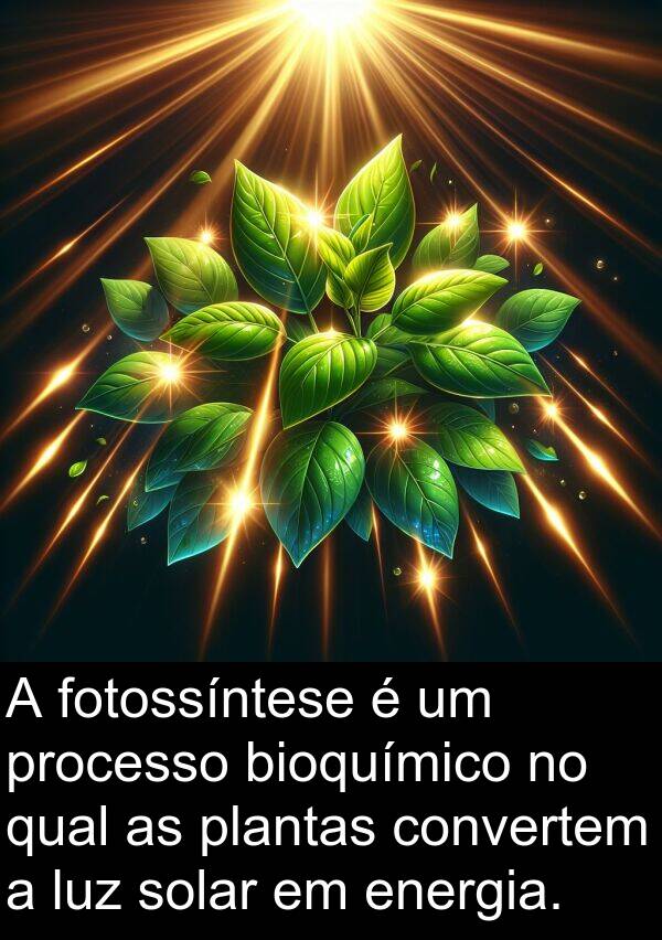 fotossíntese: A fotossíntese é um processo bioquímico no qual as plantas convertem a luz solar em energia.