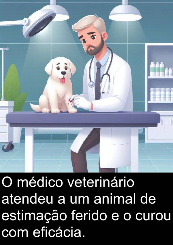atendeu: O médico veterinário atendeu a um animal de estimação ferido e o curou com eficácia.