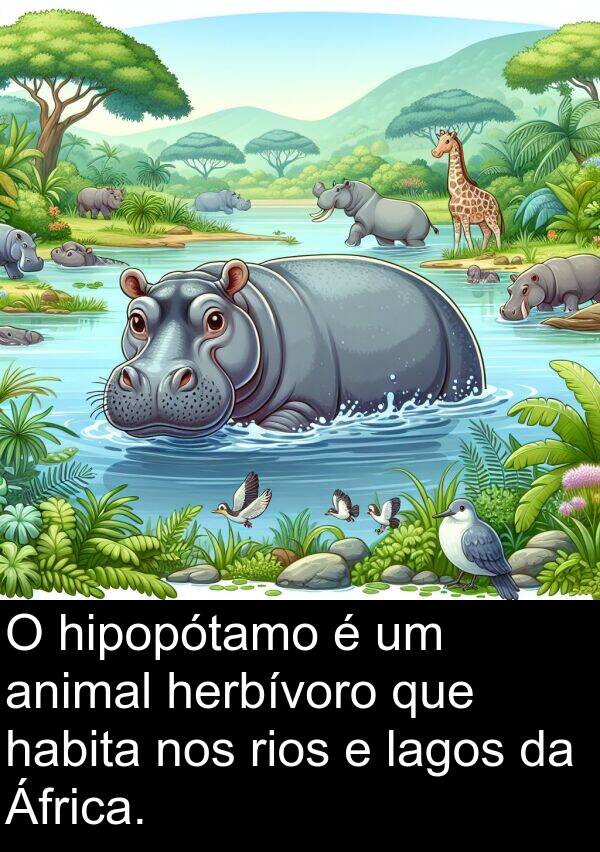 lagos: O hipopótamo é um animal herbívoro que habita nos rios e lagos da África.