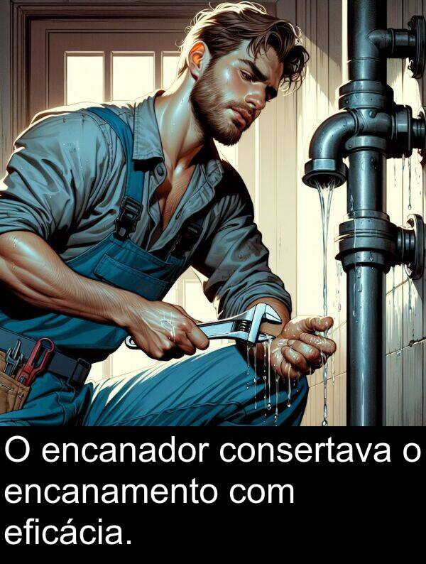 consertava: O encanador consertava o encanamento com eficácia.