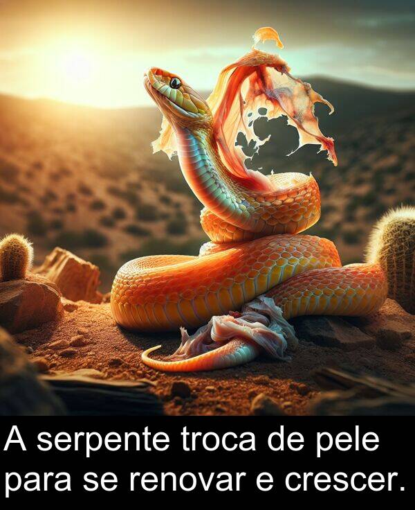 pele: A serpente troca de pele para se renovar e crescer.
