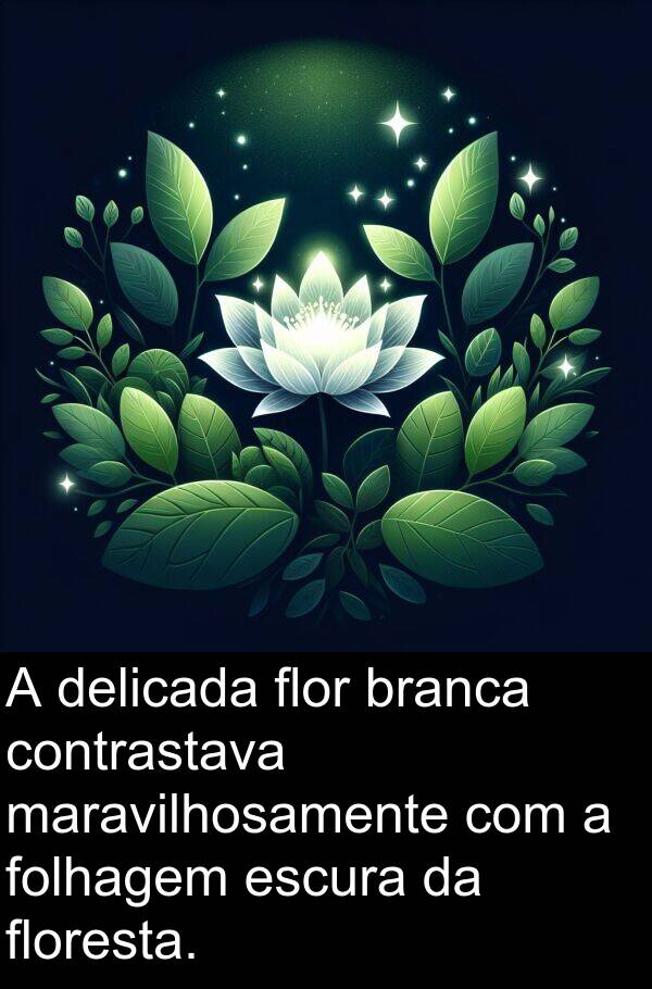 flor: A delicada flor branca contrastava maravilhosamente com a folhagem escura da floresta.