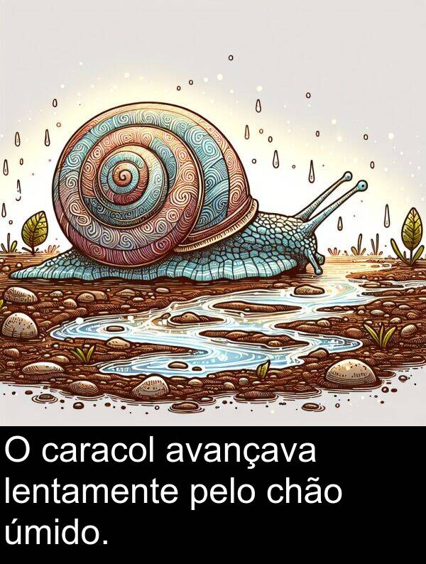 pelo: O caracol avançava lentamente pelo chão úmido.