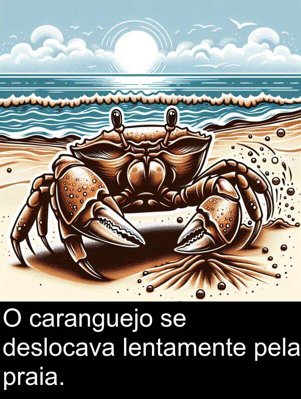 pela: O caranguejo se deslocava lentamente pela praia.