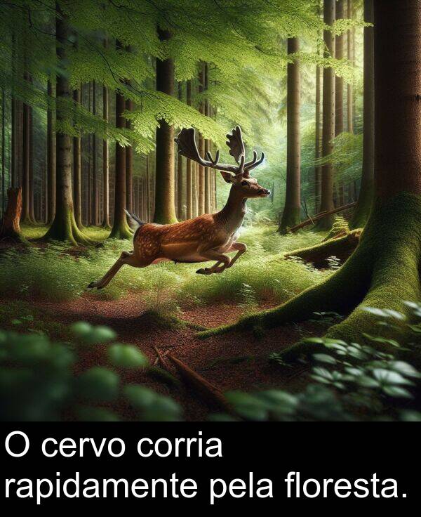 pela: O cervo corria rapidamente pela floresta.