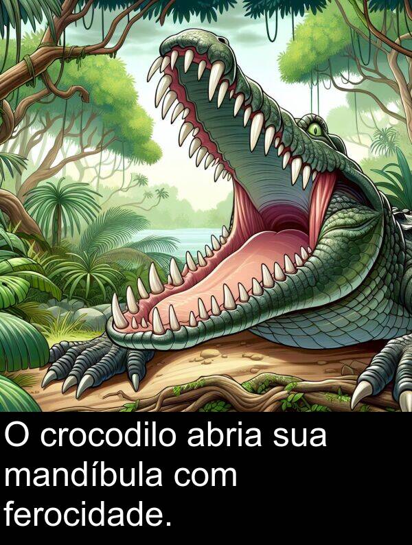 abria: O crocodilo abria sua mandíbula com ferocidade.