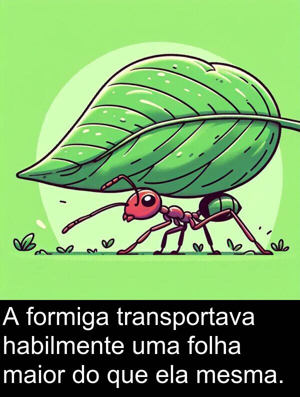 maior: A formiga transportava habilmente uma folha maior do que ela mesma.