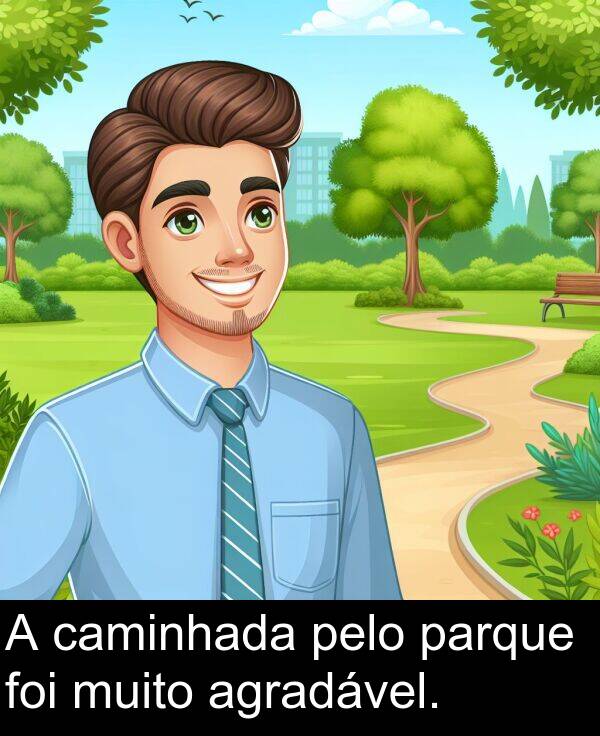 pelo: A caminhada pelo parque foi muito agradável.