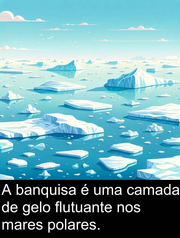 gelo: A banquisa é uma camada de gelo flutuante nos mares polares.