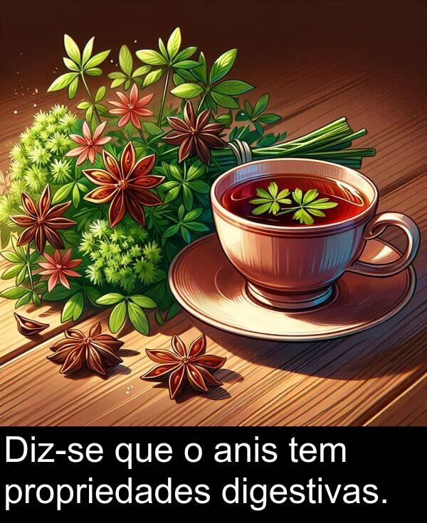 que: Diz-se que o anis tem propriedades digestivas.