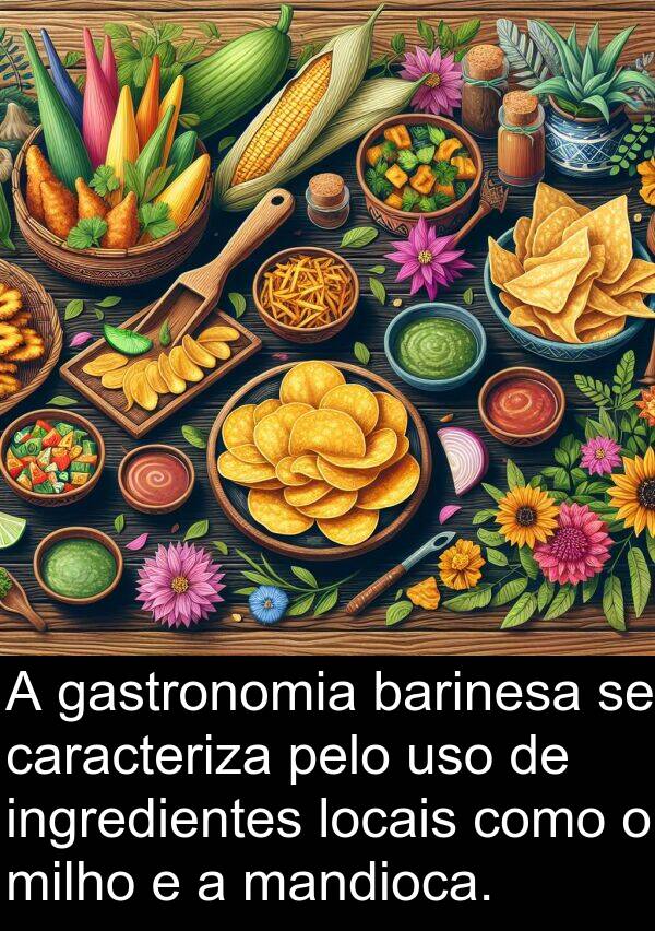 mandioca: A gastronomia barinesa se caracteriza pelo uso de ingredientes locais como o milho e a mandioca.