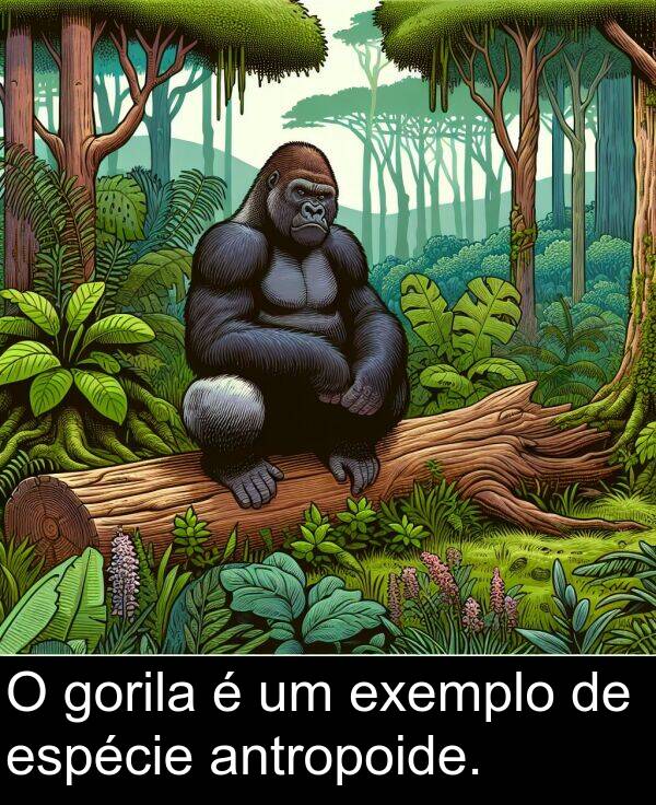 espécie: O gorila é um exemplo de espécie antropoide.