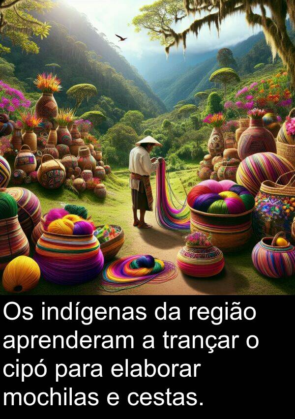 região: Os indígenas da região aprenderam a trançar o cipó para elaborar mochilas e cestas.
