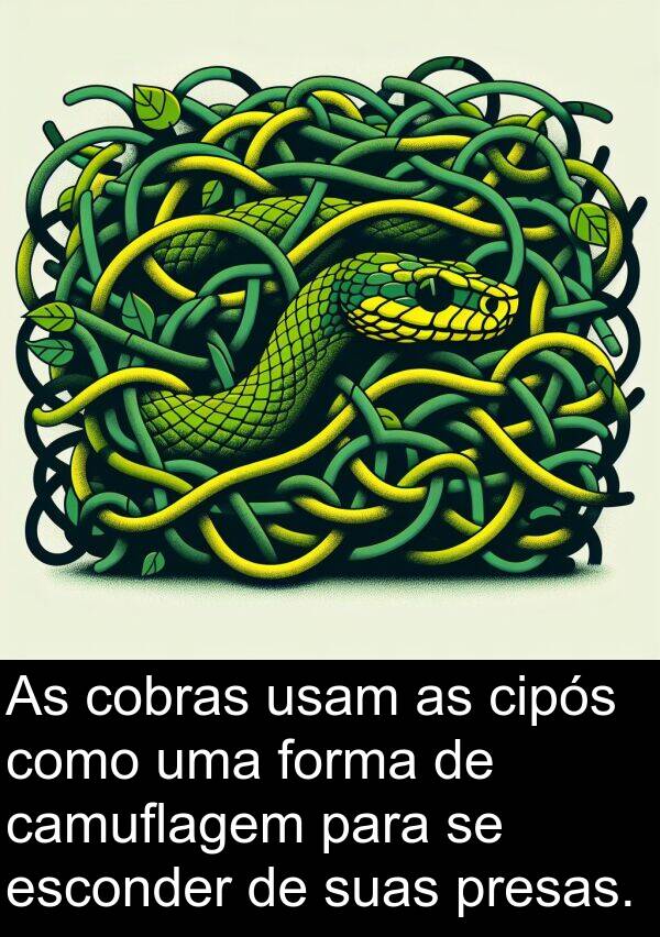 presas: As cobras usam as cipós como uma forma de camuflagem para se esconder de suas presas.