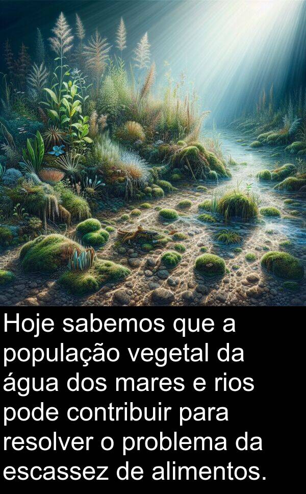 vegetal: Hoje sabemos que a população vegetal da água dos mares e rios pode contribuir para resolver o problema da escassez de alimentos.
