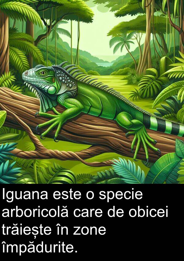 obicei: Iguana este o specie arboricolă care de obicei trăiește în zone împădurite.