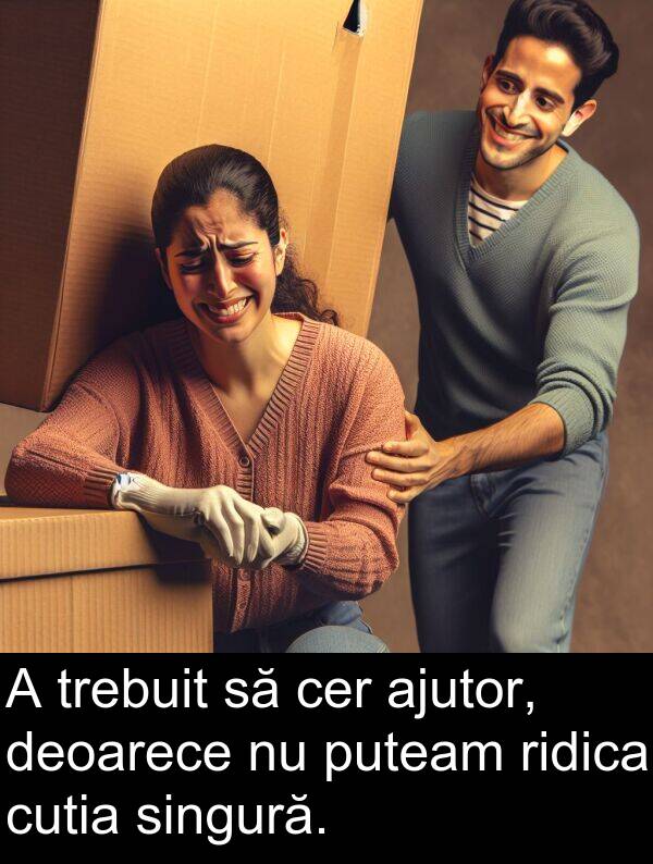 cutia: A trebuit să cer ajutor, deoarece nu puteam ridica cutia singură.