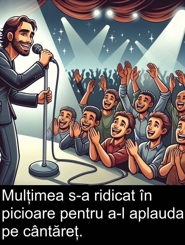 picioare: Mulțimea s-a ridicat în picioare pentru a-l aplauda pe cântăreț.