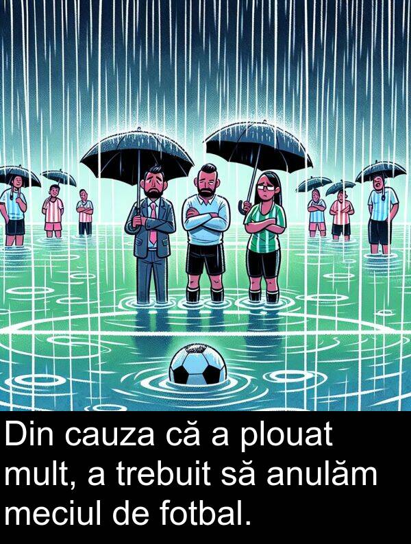 anulăm: Din cauza că a plouat mult, a trebuit să anulăm meciul de fotbal.