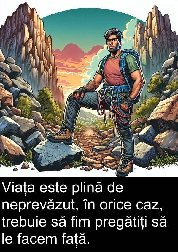 față: Viața este plină de neprevăzut, în orice caz, trebuie să fim pregătiți să le facem față.
