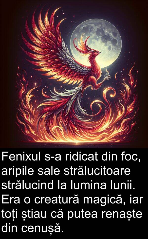 magică: Fenixul s-a ridicat din foc, aripile sale strălucitoare strălucind la lumina lunii. Era o creatură magică, iar toți știau că putea renaște din cenușă.