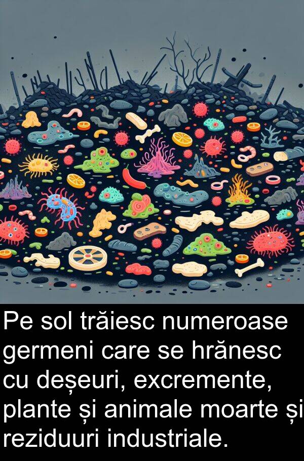 reziduuri: Pe sol trăiesc numeroase germeni care se hrănesc cu deșeuri, excremente, plante și animale moarte și reziduuri industriale.