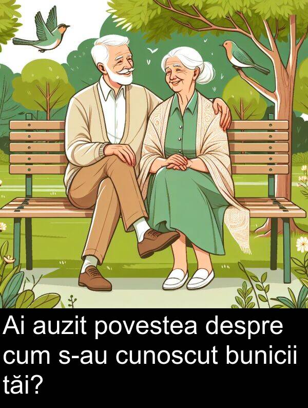 povestea: Ai auzit povestea despre cum s-au cunoscut bunicii tăi?