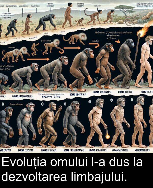dus: Evoluția omului l-a dus la dezvoltarea limbajului.