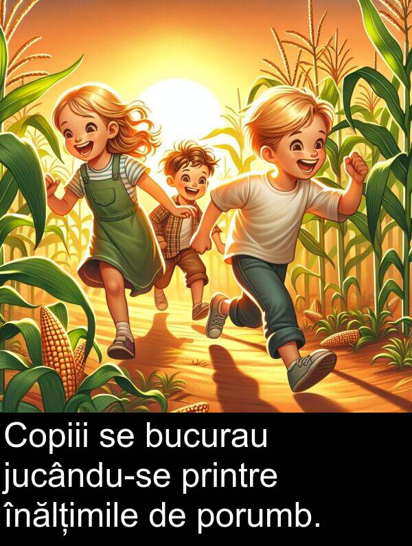 înălțimile: Copiii se bucurau jucându-se printre înălțimile de porumb.