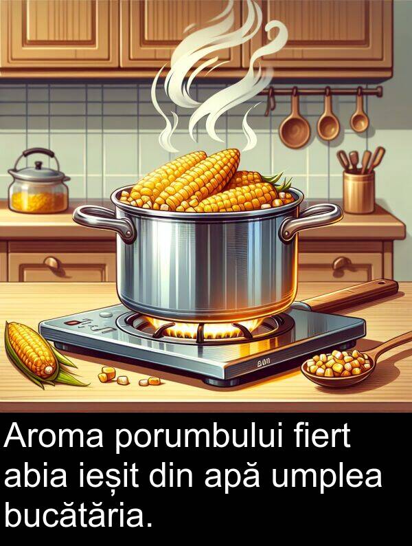abia: Aroma porumbului fiert abia ieșit din apă umplea bucătăria.