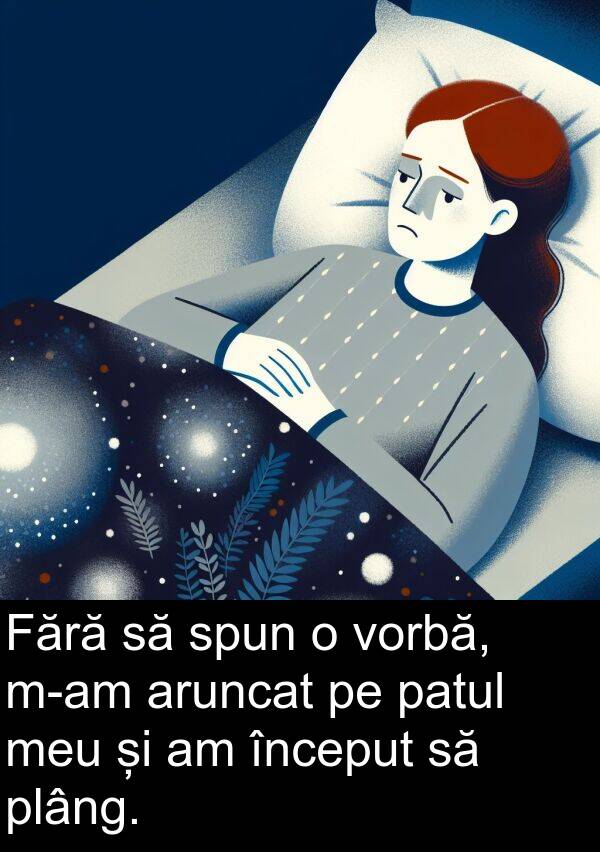 vorbă: Fără să spun o vorbă, m-am aruncat pe patul meu și am început să plâng.