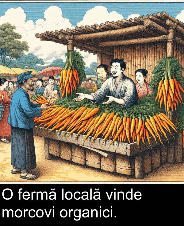 locală: O fermă locală vinde morcovi organici.
