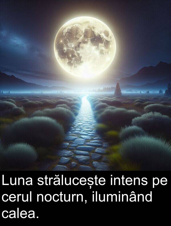 iluminând: Luna strălucește intens pe cerul nocturn, iluminând calea.