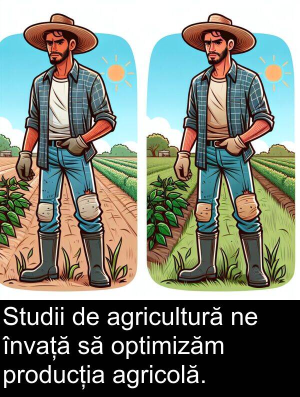 optimizăm: Studii de agricultură ne învață să optimizăm producția agricolă.