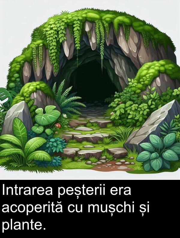 acoperită: Intrarea peșterii era acoperită cu mușchi și plante.