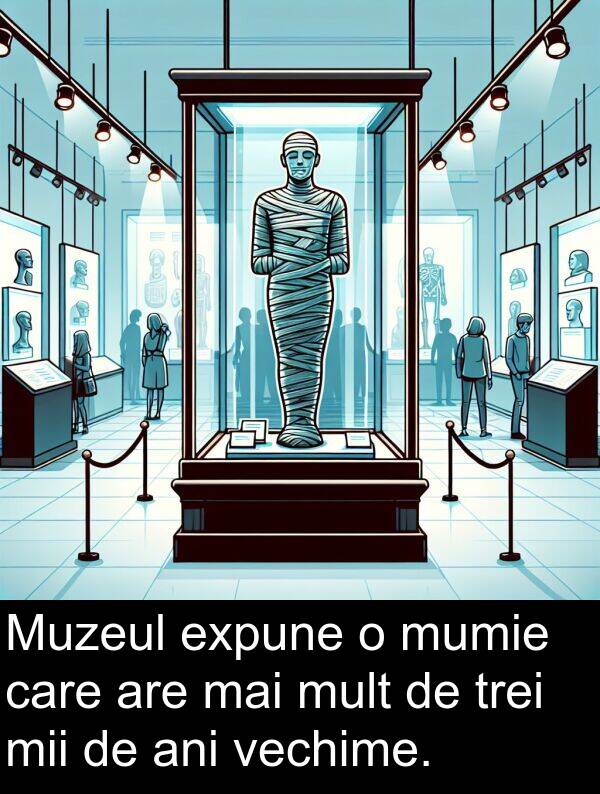 vechime: Muzeul expune o mumie care are mai mult de trei mii de ani vechime.