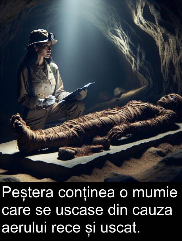 uscase: Peștera conținea o mumie care se uscase din cauza aerului rece și uscat.
