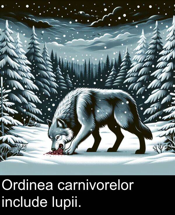 carnivorelor: Ordinea carnivorelor include lupii.