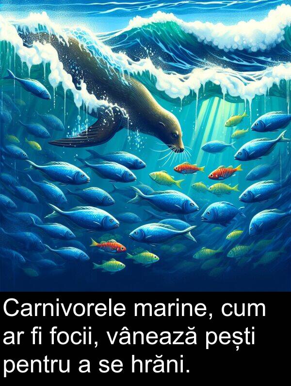vânează: Carnivorele marine, cum ar fi focii, vânează pești pentru a se hrăni.