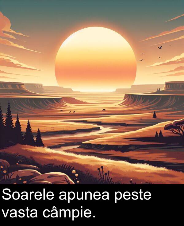 vasta: Soarele apunea peste vasta câmpie.
