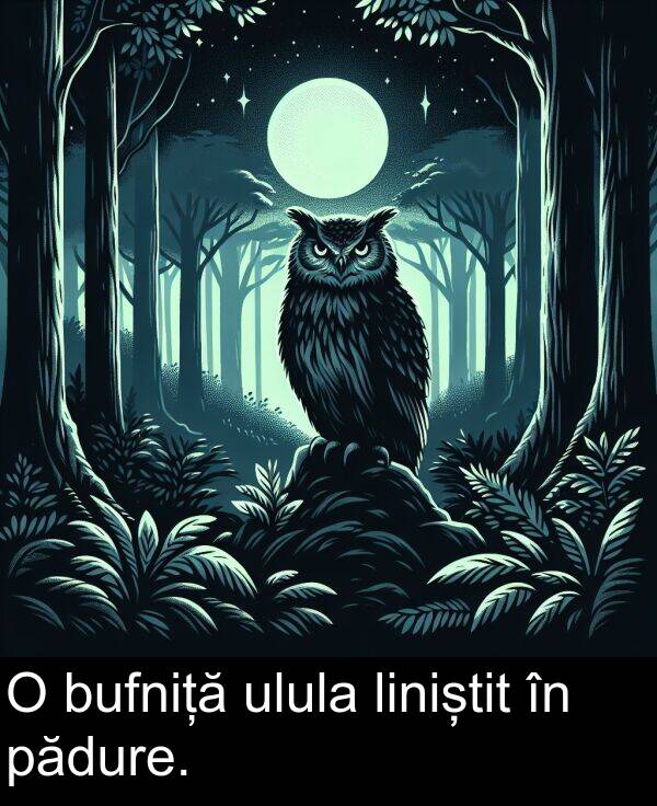 pădure: O bufniță ulula liniștit în pădure.