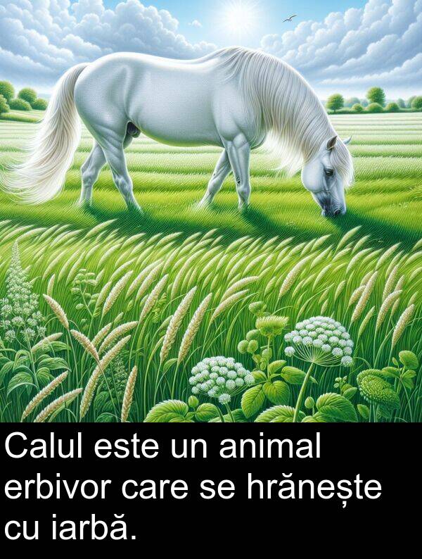 iarbă: Calul este un animal erbivor care se hrănește cu iarbă.