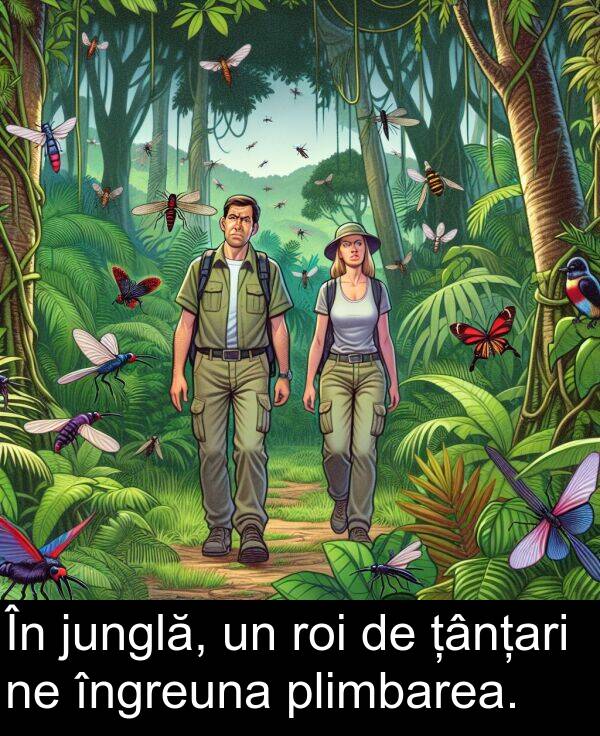 junglă: În junglă, un roi de țânțari ne îngreuna plimbarea.